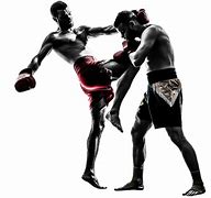 Image result for Different MMA Styles