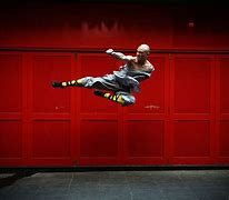 Image result for Kung Fu Flying Kick