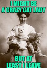 Image result for Crazy Cat Lady Meme