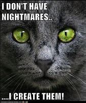 Image result for Nightmare Cat Meme