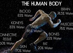 Image result for Body Recovery From Water Study