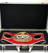 Image result for Championship Belt Case