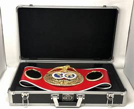 Image result for Showbox Belt Case