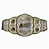 Image result for WWE Heavyweight Champion Belt