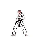 Image result for Martial Arts Cartoon Male