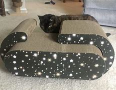 Image result for Jackson Galaxy Constellation Combo