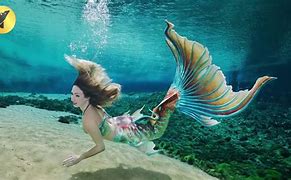 Image result for Real Mermaid Footage