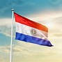 Image result for Paraguay Flag Back