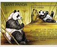 Image result for Giant Panda Paw