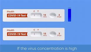 Image result for iHealth Labs Negative Test