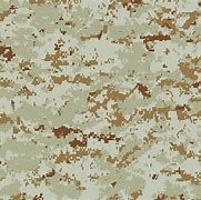 Image result for Marine Corps Camouflage