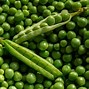 Image result for How Big Is a Pea