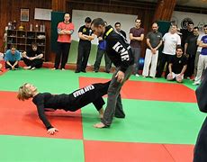 Image result for Martial Arts Women Maga