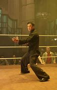 Image result for Donnie Yen Martial Arts Movies