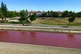 Image result for Modesto Canals