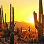 Image result for American Wild West
