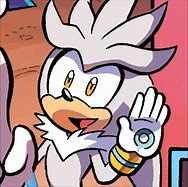Image result for Sonic Ate Silver