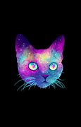 Image result for Trippy Cat Wallpaper Desktop HD