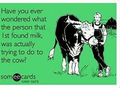 Image result for The First Person to Milk a Cow Meme