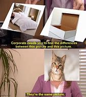 Image result for Pictures Are the Same Meme