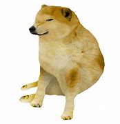 Image result for Doge Meme Body