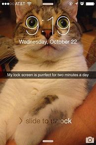 Image result for Funny Lock Screen for Computer