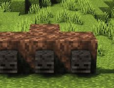 Image result for How to Create a Wither Skeleton