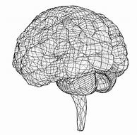 Image result for Brain Icon 3D