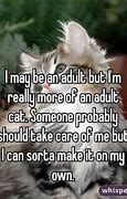 Image result for Extremely Funny Adult Quotes
