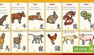 Image result for Chinese Animal Year 10