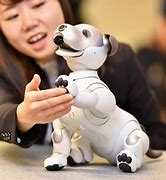 Image result for Aibo Sony Japan