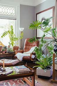 Image result for Living Room Decor with Plants