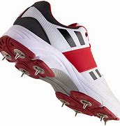Image result for Good Shoes for Cricket
