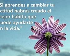 Image result for actituf