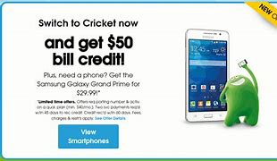 Image result for Phone Plug Cricket