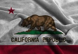 Image result for Flag of California