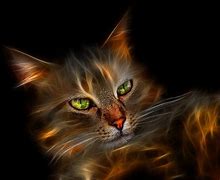 Image result for Cool Cats Graphics