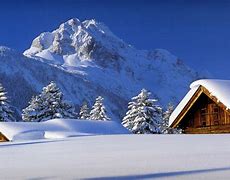 Image result for Free Winter Wallpaper 800X600