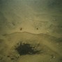 Image result for Oldest Ocean Quahog