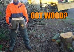 Image result for Wood Log Meme