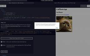 Image result for Step 15 Cat Photo App