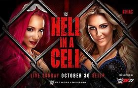 Image result for Hell in a Cell