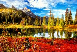 Image result for fall scenery