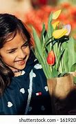 Image result for holland tulips festival