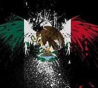 Image result for Cool Mexico Mexican Flag