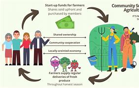 Image result for Community Supported Agriculture Members Area