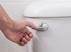 Image result for toilets flushing lever