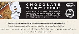 Image result for Advertisement Cookies with Crickets