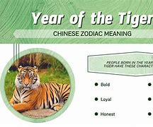 Image result for Tiger Chinese Zodiac Personality