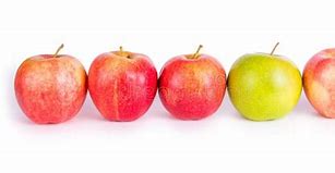 Image result for Rows of 6 Apple's